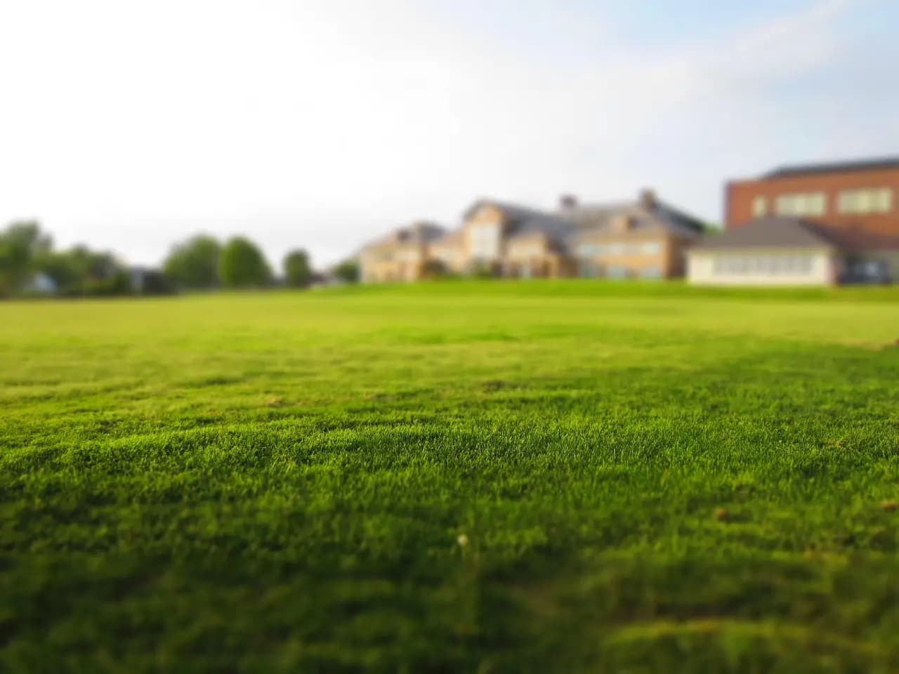 Municipal park with professionally maintained green lawns